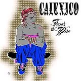 Calexico LP (Vinyl) Feast Of Wire (Vinyl)