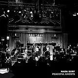 Nada Surf Vinyl Peaceful Ghosts