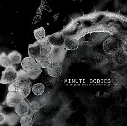 Tindersticks LP + DVD-Video Minute Bodies: The Intimate