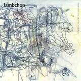 Lambchop Vinyl What Another Man Spills (20th Anniversary)