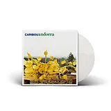 Caribou LP (analog) Andorra (white)