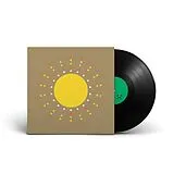 Gold Panda Vinyl The Work