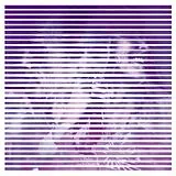 Invsn LP (analog) Live At Clouds Hill
