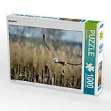 CALVENDO Puzzle Würgfalke | 1000 Teile Lege-Größe 64x48cm Foto-Puzzle für glückliche Stunden Spiel