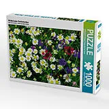 CALVENDO Puzzle Wildkräuter Schönheiten | 1000 Teile Lege-Größe 64x48cm Foto-Puzzle für glückliche Stunden Spiel