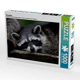 Waschbär (Puzzle) Spiel