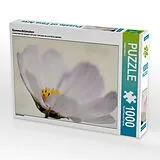 CALVENDO Puzzle Sommerblümchen | 1000 Teile Lege-Größe 64x48cm Foto-Puzzle für glückliche Stunden Spiel