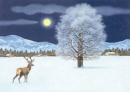 Kalender Zauberhafte Winternacht Adventskalender von Thomas Müller