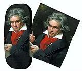  Instrumente+Zubehör Brillenetui Beethoven 2