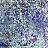 Drowned LP (analog) Procul His
