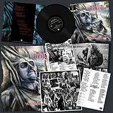 Protector LP (analog) A Shedding Of Skin