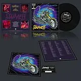 Stainless Vinyl Nocturnal Racer