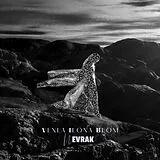 Venla Ilona Blom LP (analog) Nevrak