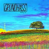 Grundhass LP (analog) Wenig Los