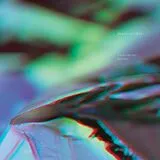 Birds Of Prey Vinyl Vanishing Point