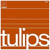 Maston Vinyl Tulips