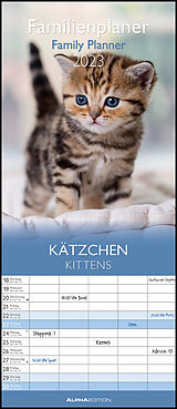 Kalender Kätzchen 2023 Familienplaner - Familienkalender - Wandkalender - 19,5x45 von Sabine Rath