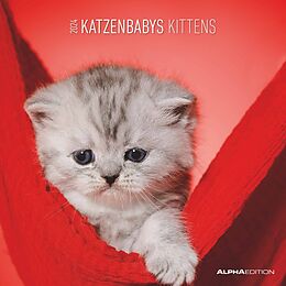 Kalender Alpha Edition Katzenbabys Broschürenkalender 2024, im Format 30 x 30 cm (30 x 60 geöffnet), Monatskalender mit Platz für Notizen, Tierkalender mit Katzenbildern von 