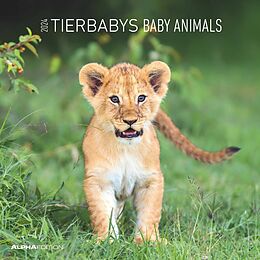 Kalender Tierbabys 2024 - Broschürenkalender 30x30 cm (30x60 geöffnet) - Kalender mit Platz für Notizen - Baby Animals - Bildkalender - Wandplaner - Alpha Edition von 