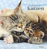 Spiralbindung Schmusekatzen 2024 - Postkartenkalender 16x17 cm - Katzen - zum Aufstellen oder Aufhängen - Monatskalendarium - Gadget - Mitbringsel - Alpha Edition von 