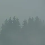 Max Loderbauer Vinyl Donnerwetter