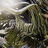 Bad Stream Vinyl Sonic Healing (lp, Green Vinyl)