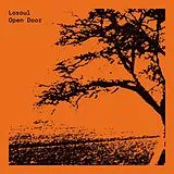 Losoul Maxi Single (analog) Open Door (2027 Repress)