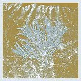 Huerco S. Vinyl For Those Of You Who Have Never