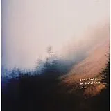 Heated Land LP (analog) Forest Tapes