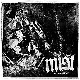 MIST Vinyl No Esteem