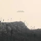 Albinobrothers LP (analog) Goliath Awakes