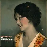 Tobias Werner Vinyl Chevaux Electrique - Songs About Sport