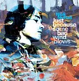 Nick Nuttall LP (analog) Just Because Some Bad Wind Blows