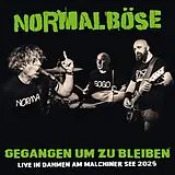 NORMALBÖSE, ZAUNPFAHL Vinyl Gegangen Um Zu Bleiben (live)