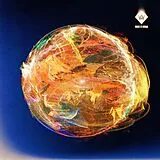 Woods Of Birnam Vinyl Solaris