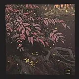 LDMR Vinyl Silva