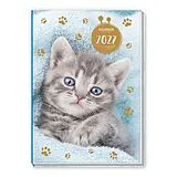 Kartonierter Einband TRÖTSCH - Taschenkalender A7 Katze 2027 von