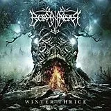 Borknagar LP (analog) Winter Thrice (lp)