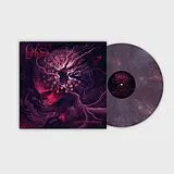 Lutharo LP (analog) Chasing Euphoria (lp)