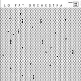 Lo Fat Orchestra Maxi Single (analog) We Need You