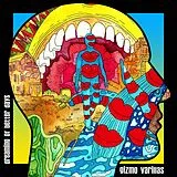 Varillas Gizmo LP (analog) Dreaming Of Better Days