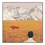 Lady Lamb Vinyl After (Vinyl)