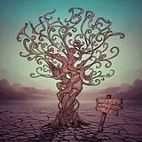 The Brew CD Shake The Tree
