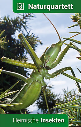 Heimische Insekten Naturquartett Spiel