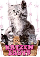 Katzenbabys DVD
