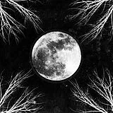 Corpus Christii CD Pale Moon