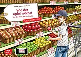 Textkarten / Symbolkarten Wie der Apfel wächst. Von der Blüte bis zur Frucht. Kamishibai Bildkartenset von Lydia Hauenschild