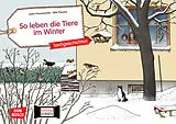 Textkarten / Symbolkarten So leben die Tiere im Winter. Kamishibai Bildkartenset. von Lydia Hauenschild