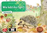 Textkarten / Symbolkarten Wie lebt der Igel? Kamishibai Bildkartenset. von Katharina Stöckl-Bauer