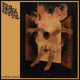 Black Curse CD Endless Wound (digipak)